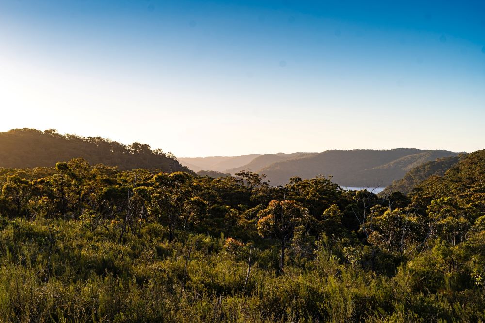 Best Days Out for Nature Lovers in Sydney